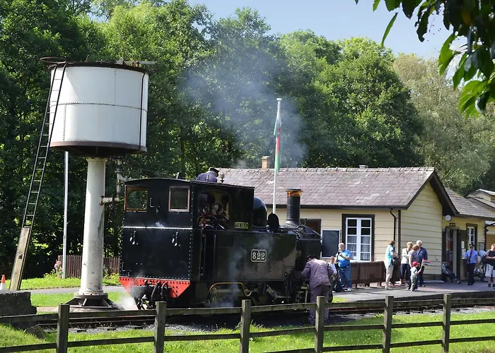 Celyn Bach - Uk37083